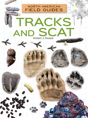 cover image of Tracks and Scat